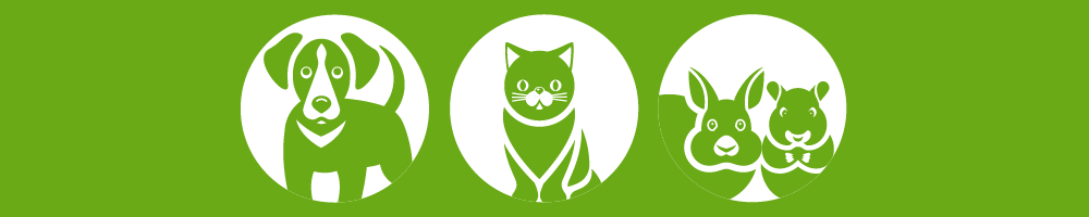 schmal-HundkatzeNager